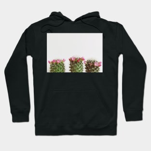 Three Flowering Cacti Hoodie